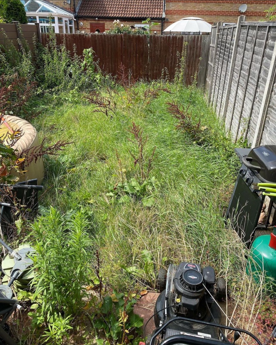 Gardener: Image 1
